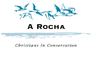A ROCHA
