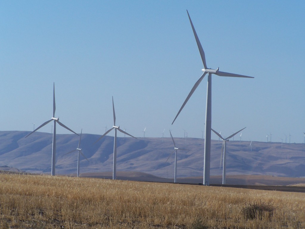 Shepherds Flat Wind Farm LargeScale Sustainable Business Comes to