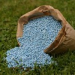 1138148_blue_fertilizer