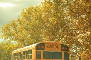 bus