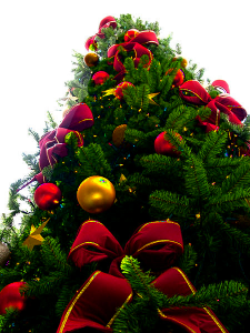 christmas_tree_sxc_hu_png_transparency