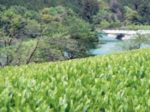 japan-2