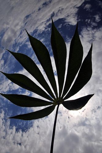 cancun-climate-agreement-wrap-up1