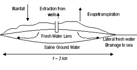 Anatomy of a freshwater lens.