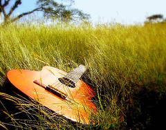 guitar