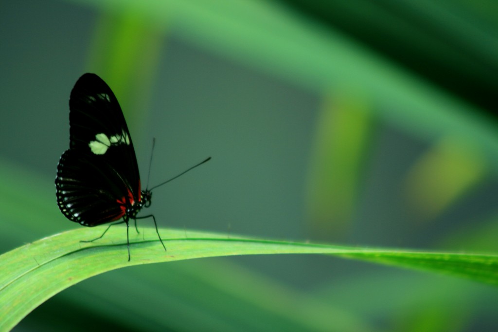 img_9974_edit