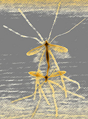 5117236761_f4b2ba1208_m