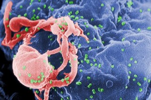 3-merck-vaccine1