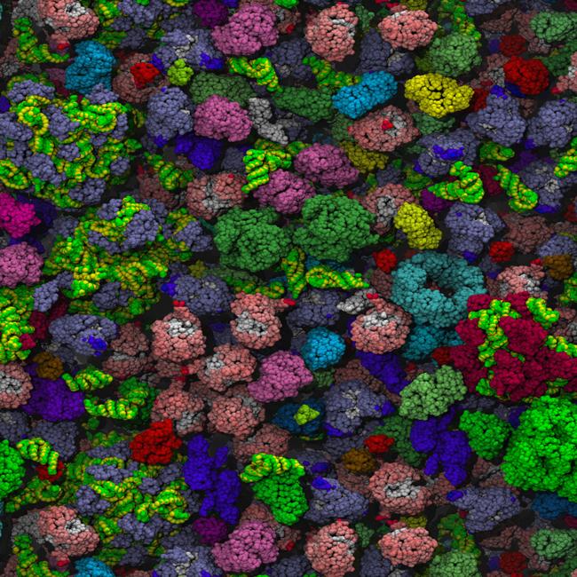 molecular-level