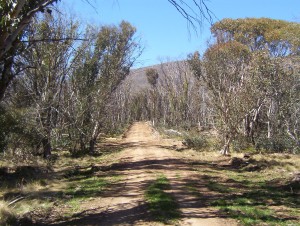 namadgi_national_park_walking_trail