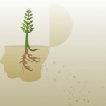 Social Innovation