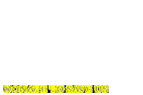 Vanishing Species Charity