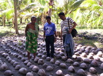 PENDATUN PANGADIL