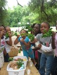 The Damayan Garden Project